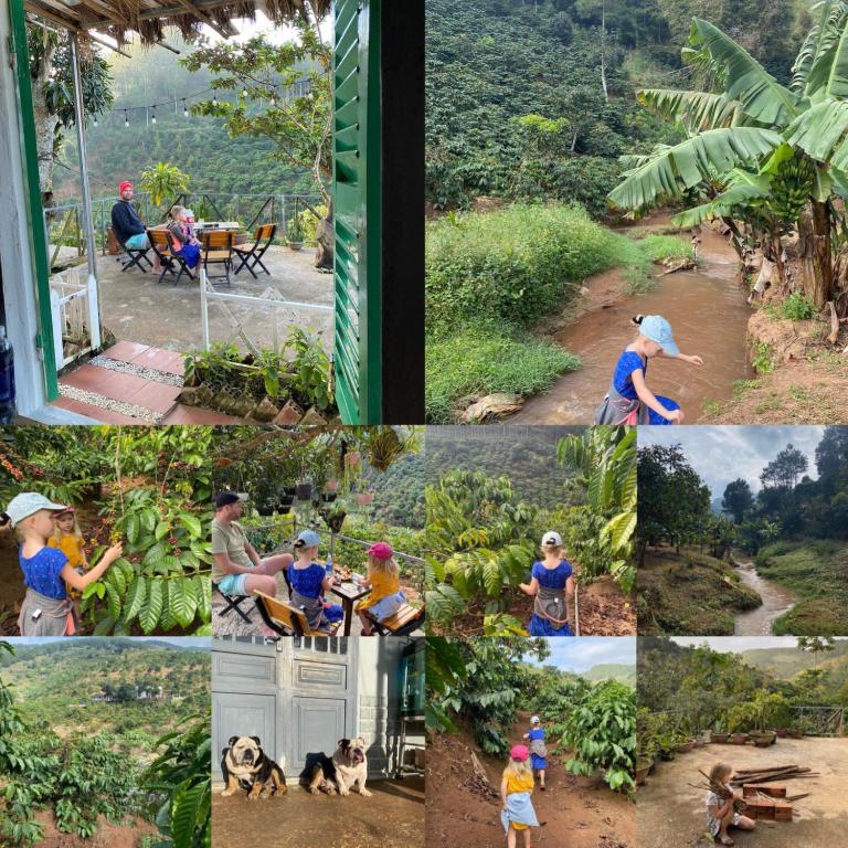 OVi coffee farmstay Đa Lat photo