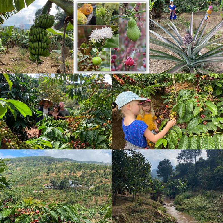 OVi coffee farmstay Đa Lat photo