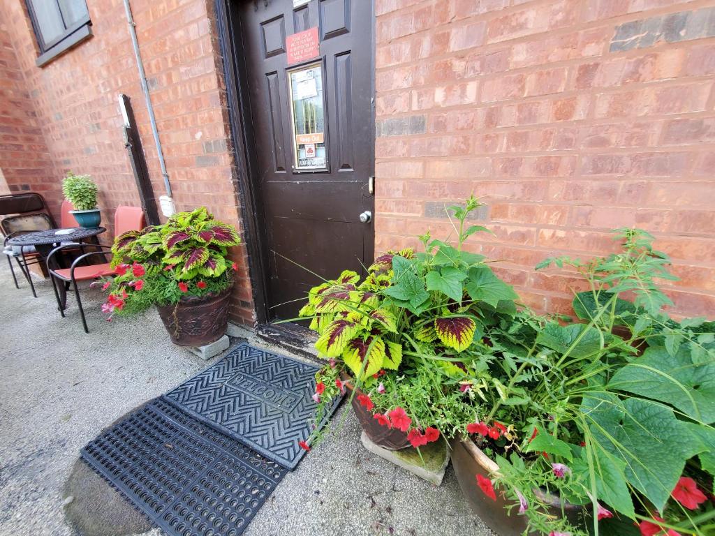 Studio with Jacuzzi Close to Loyola FREE PARKING photo