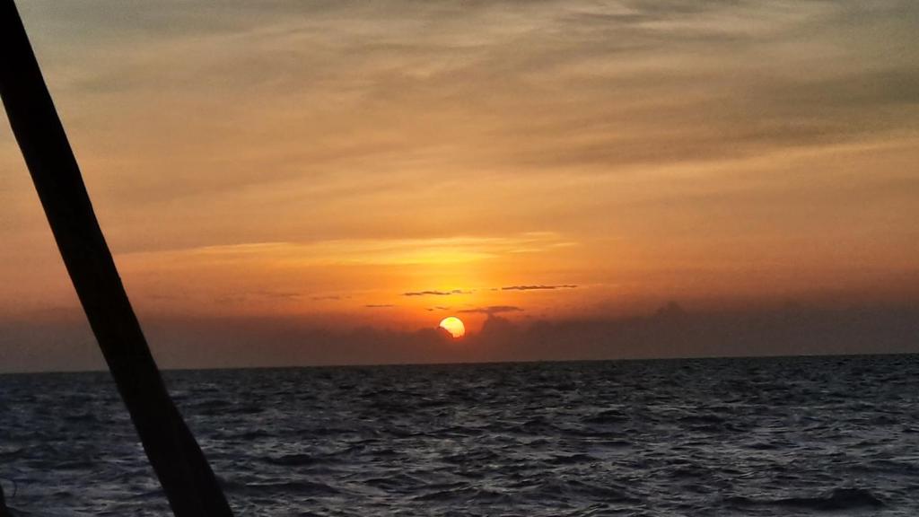 Surrounding environment