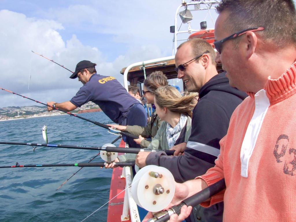 アクティビティ