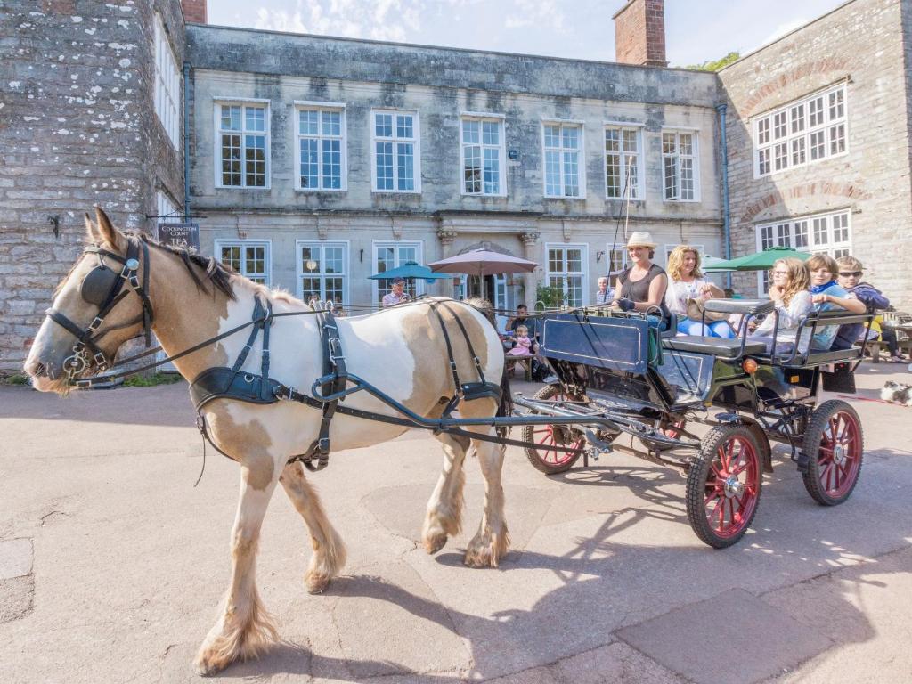 アクティビティ