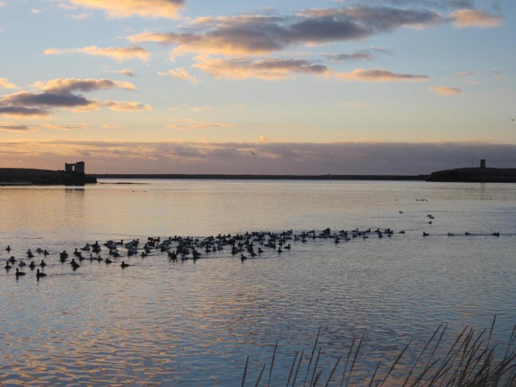 Surrounding environment