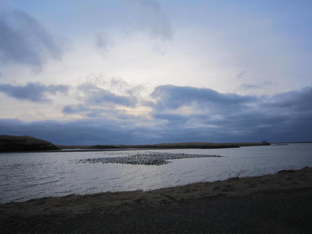 Surrounding environment