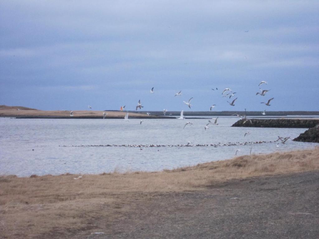 Surrounding environment