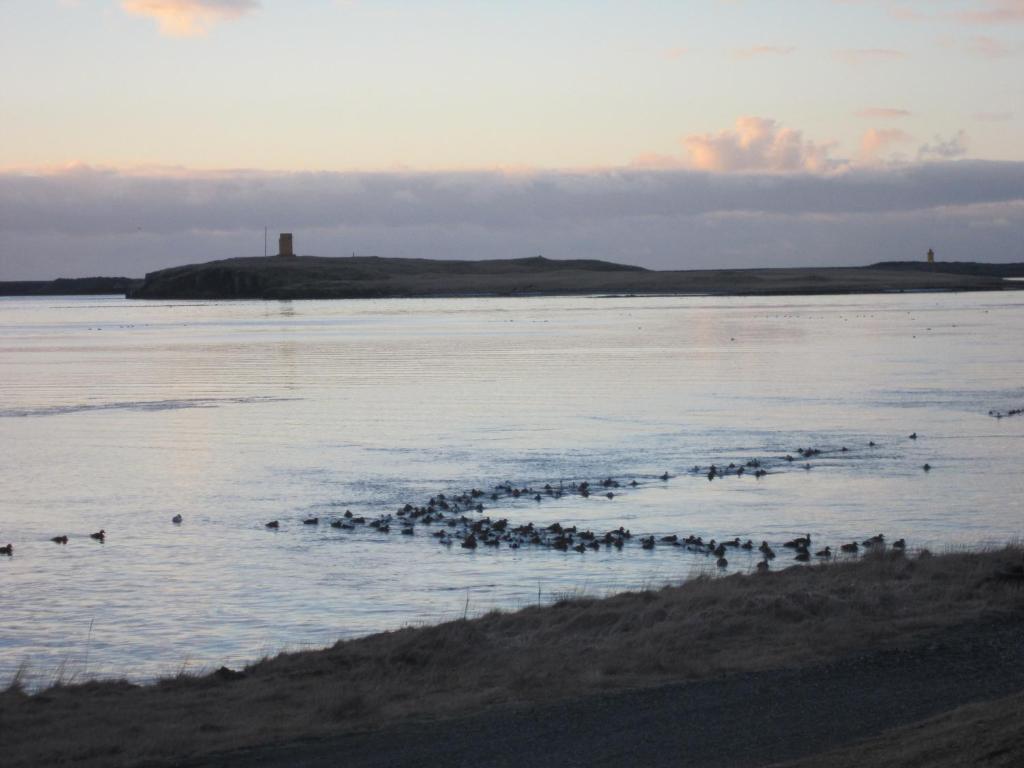 Surrounding environment