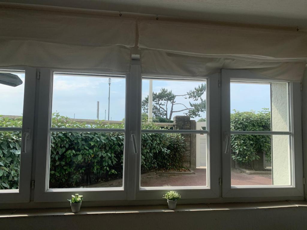 Bel appart 2/4 pers front de mer - 5