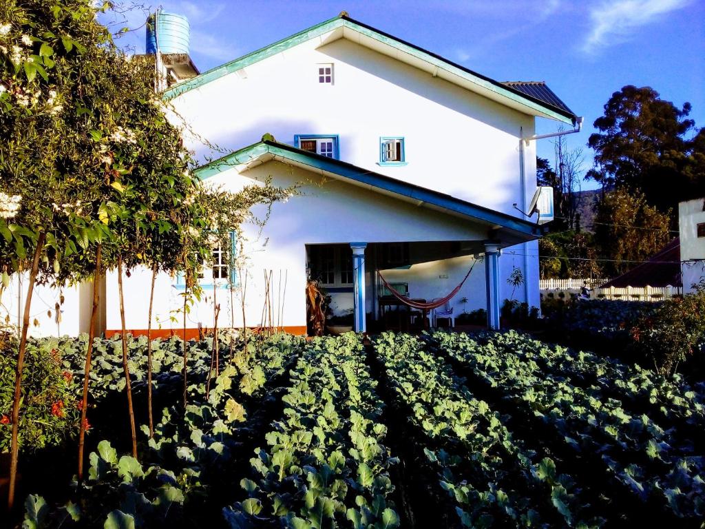 Vibe way (Hostel &amp; Market farm) — Hotel in Nuwara Eliya