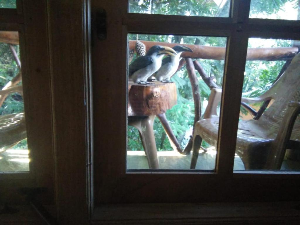 Chamathka homestay photo