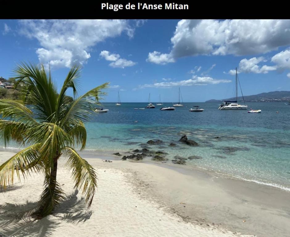 PLAISIRS LOCATIONS 3 ILETS, Les Trois-Îlets