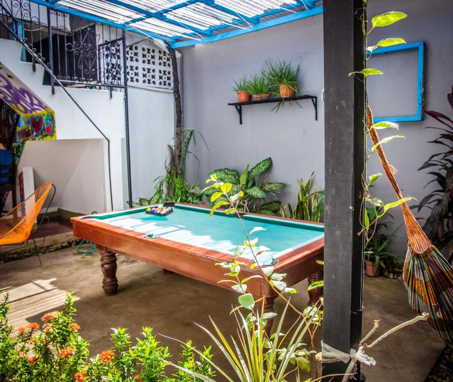 The Spot Hostel Leon photo