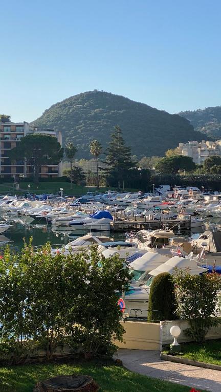 Studio Ile Cannes Marina - 4