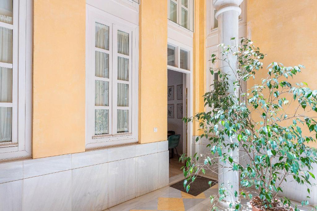 Genteel Home Plaza Nueva photo