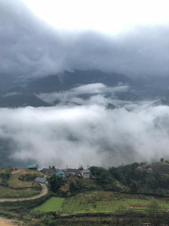 Surrounding environment