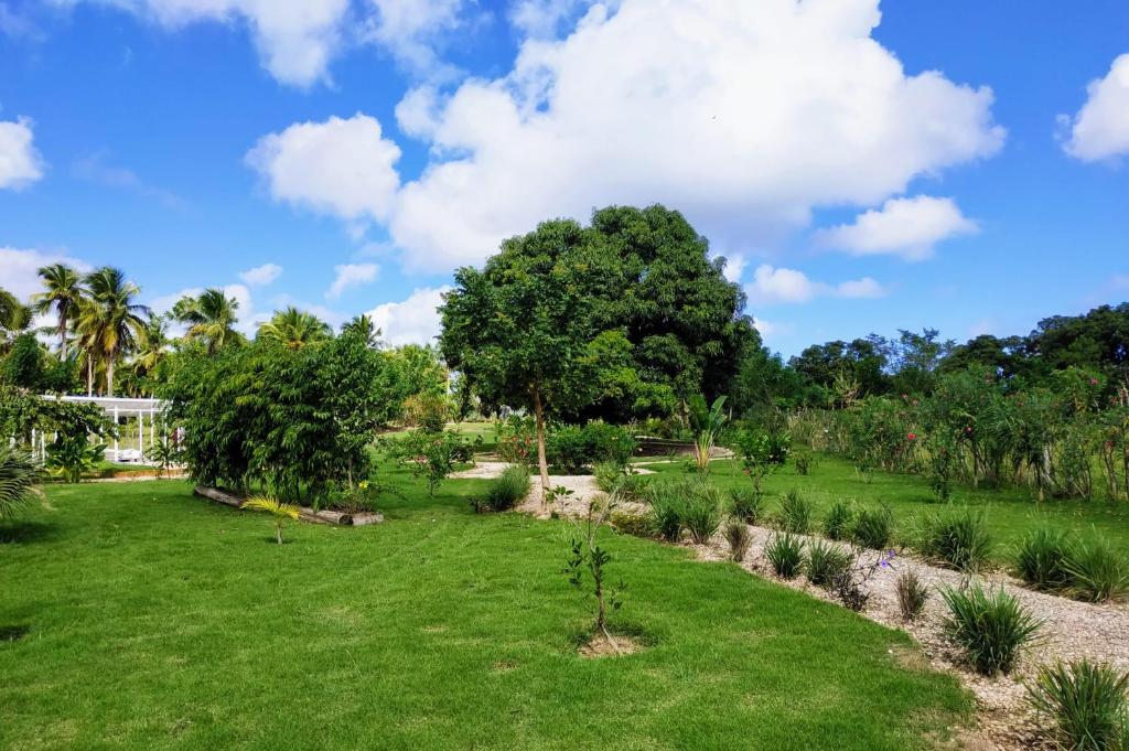 Glamping Los Hicacos Blanco By CREA, Miches photo