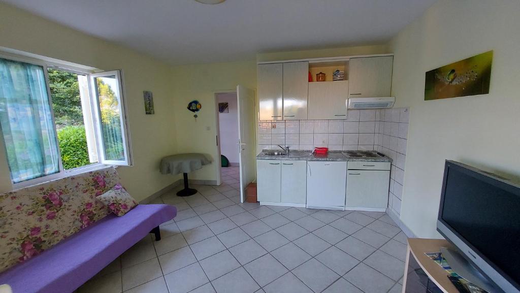 APARTMANI BAN photo
