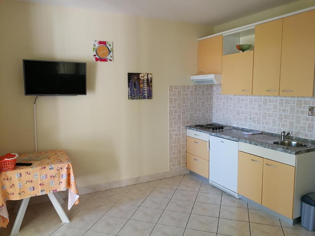 APARTMANI BAN photo
