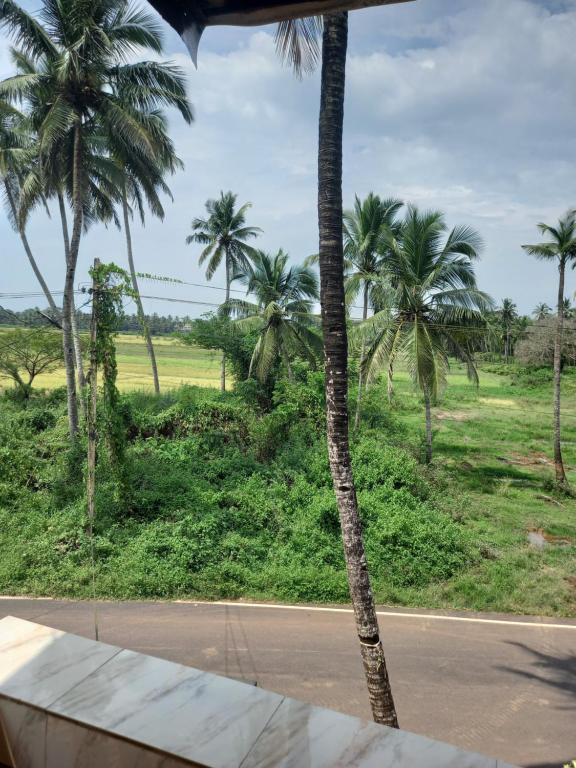 Meera's Guest Houses photo