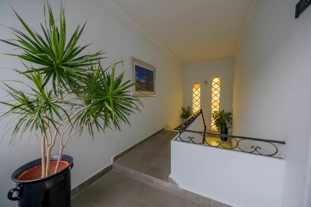 Suites de La Parra photo