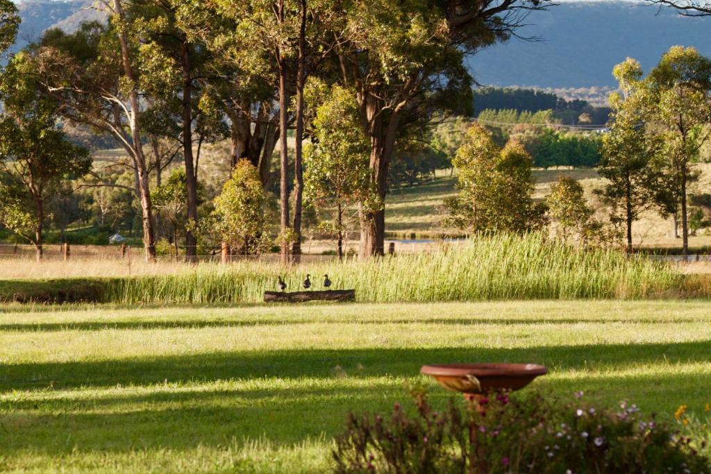 Marigold Cottage - A peaceful mountain getaway — Hotel in Blue Mountains