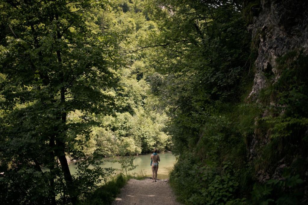 Forest Camping Mozirje photo