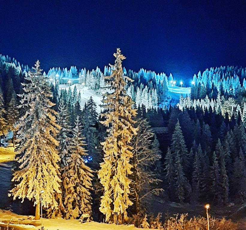 Pino apartman Jahorina - 3