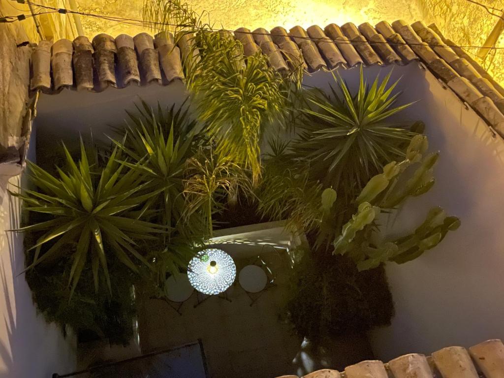 Macallè Suite Noto, charme e relax con giardino - 3