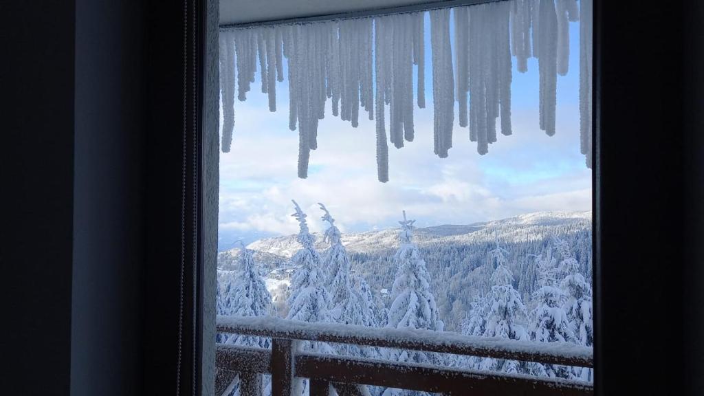 SUNČANI BREG RESORT & SPA apartment 14 Kopaonik - 4