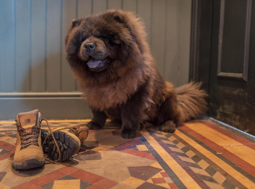 フロント・ロビー