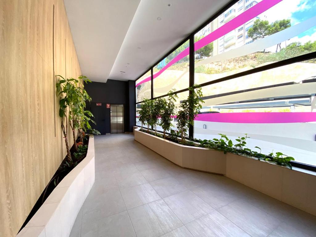 Exclusive Apartments on the first line of Benidorm Sol y Mar 전경