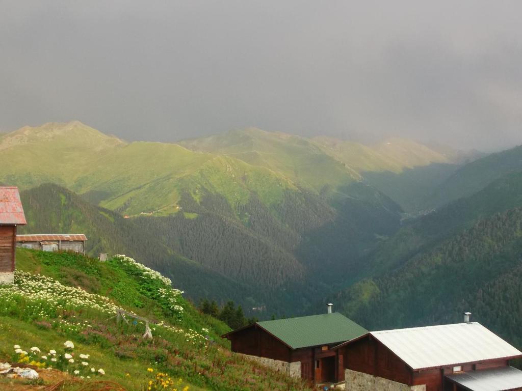 Demircioglu Pokut Dag Evi photo