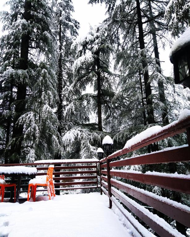 WildWoodHome Jibhi photo