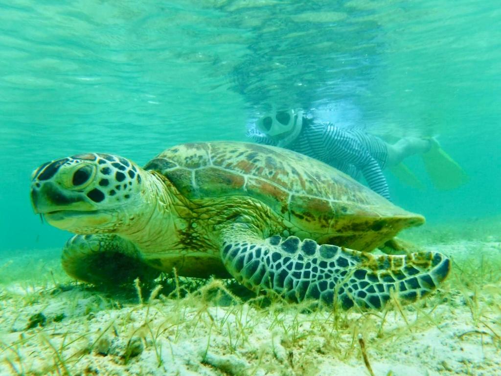 Sports and activities