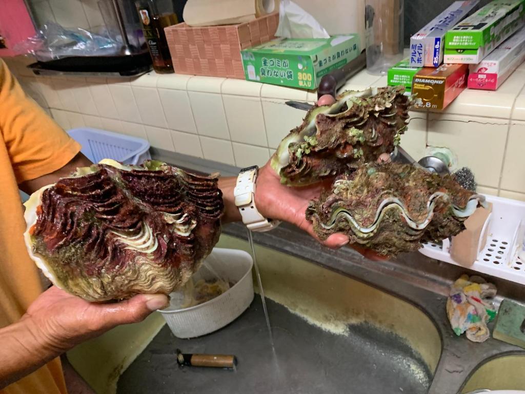 Sports and activities