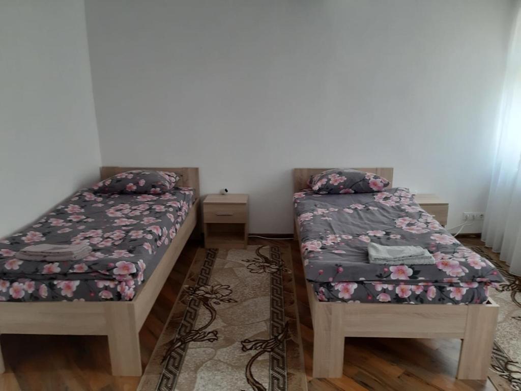 F&M Ferien- & Monteurwohnungen -3 Zimmer Wohnung