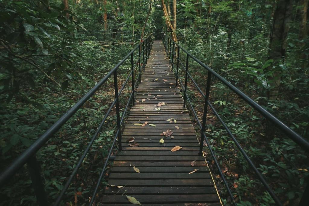 Surrounding environment