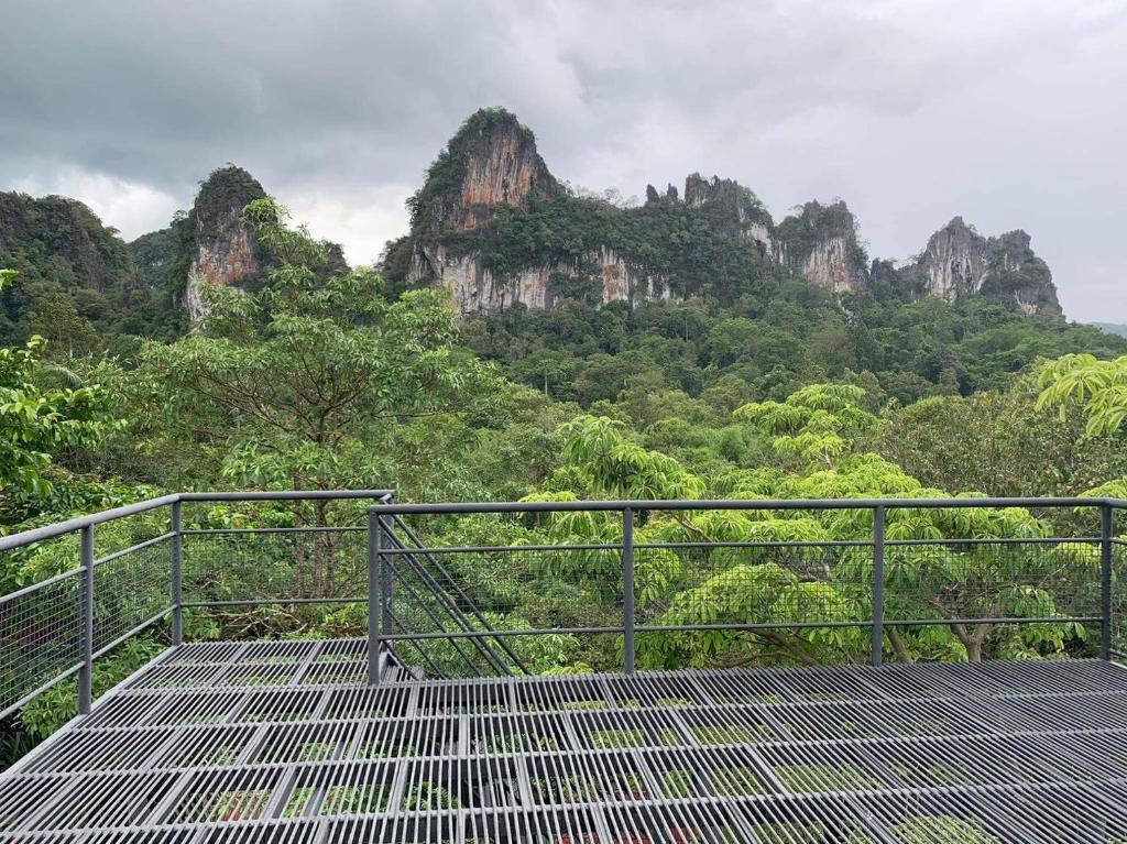 Surrounding environment