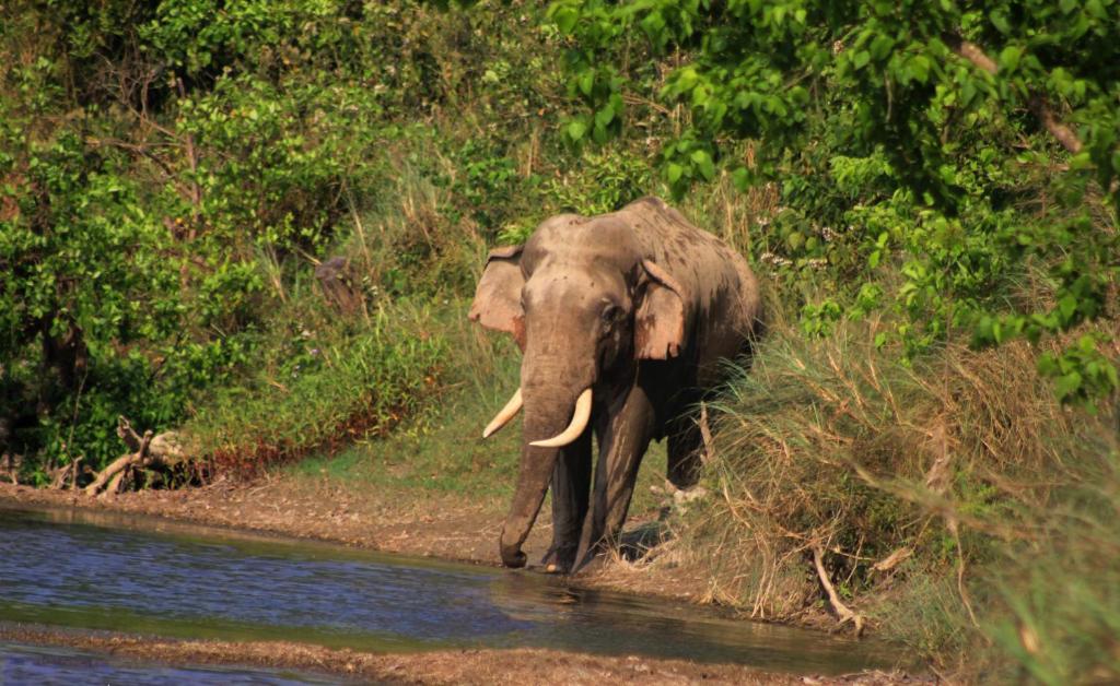 Surrounding environment