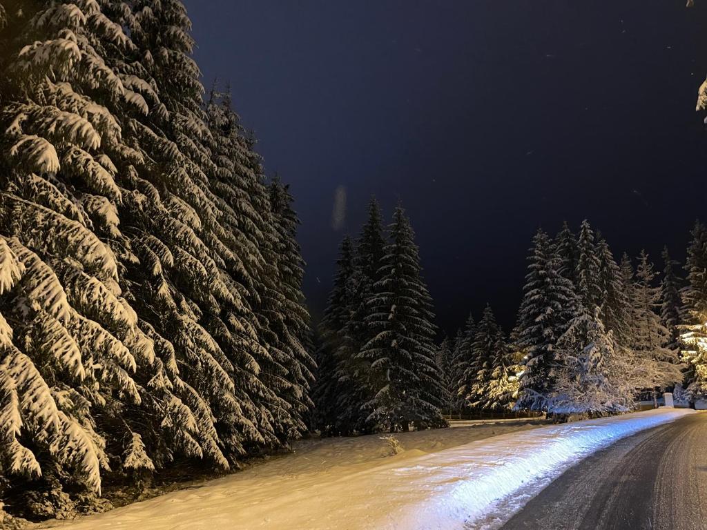 Vila Zorile photo