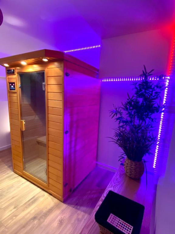 COSY & SPA Appartement Luxe JACUZZI SAUNA Suite Cristal - 4