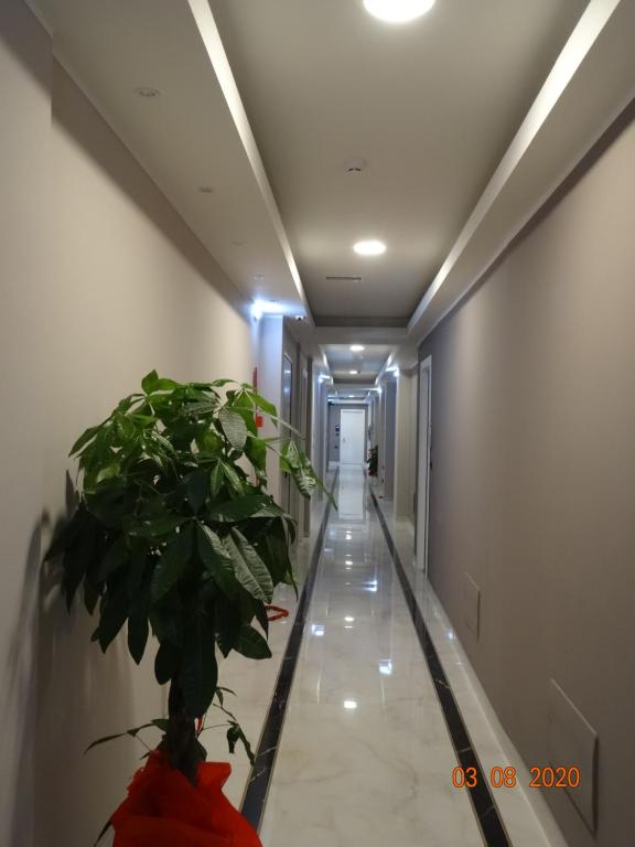 Hotel Folen photo