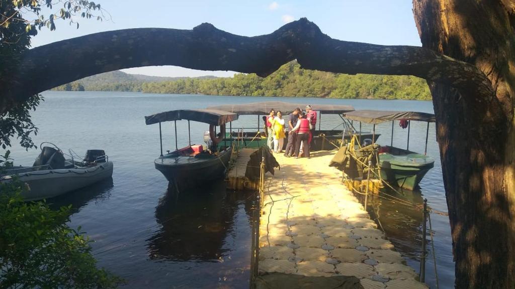 Velankanni Homestay Lodge Jog Falls photo