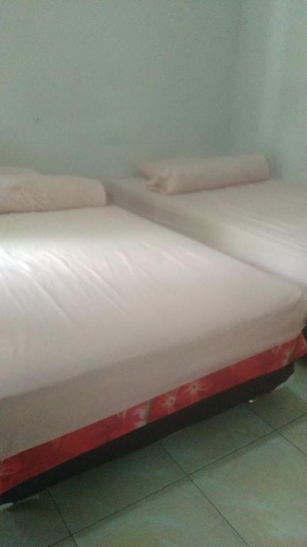 Kost Backpacker photo