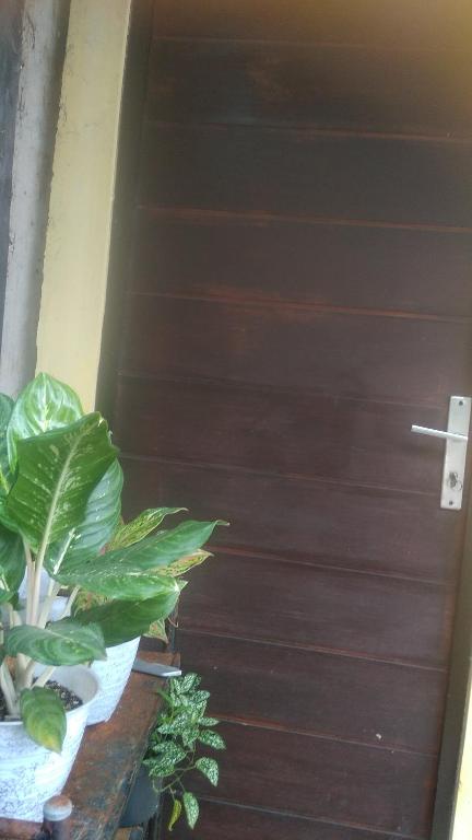 Kost Backpacker photo