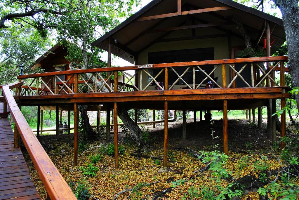 Lion Tree Top Lodge photo