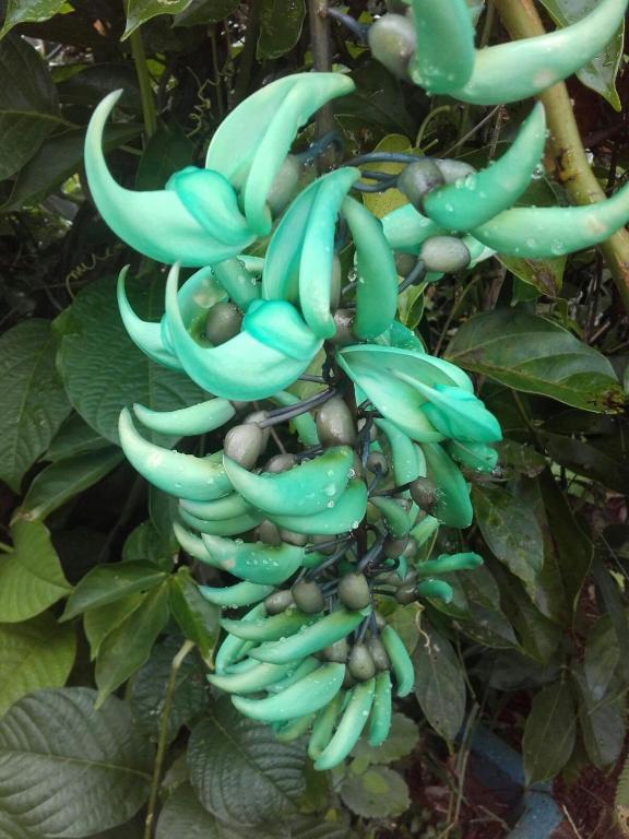 Surrounding environment