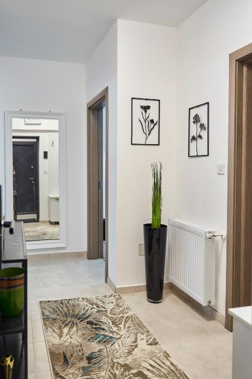 Unique Hotel Apartments Iasi photo