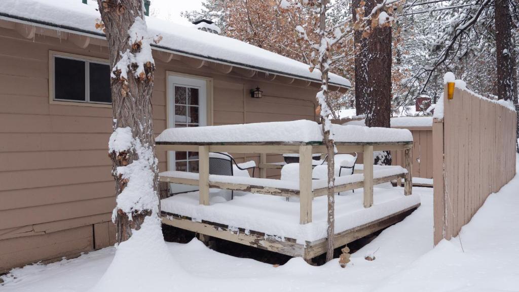 Sleepy Forest Cottages photo
