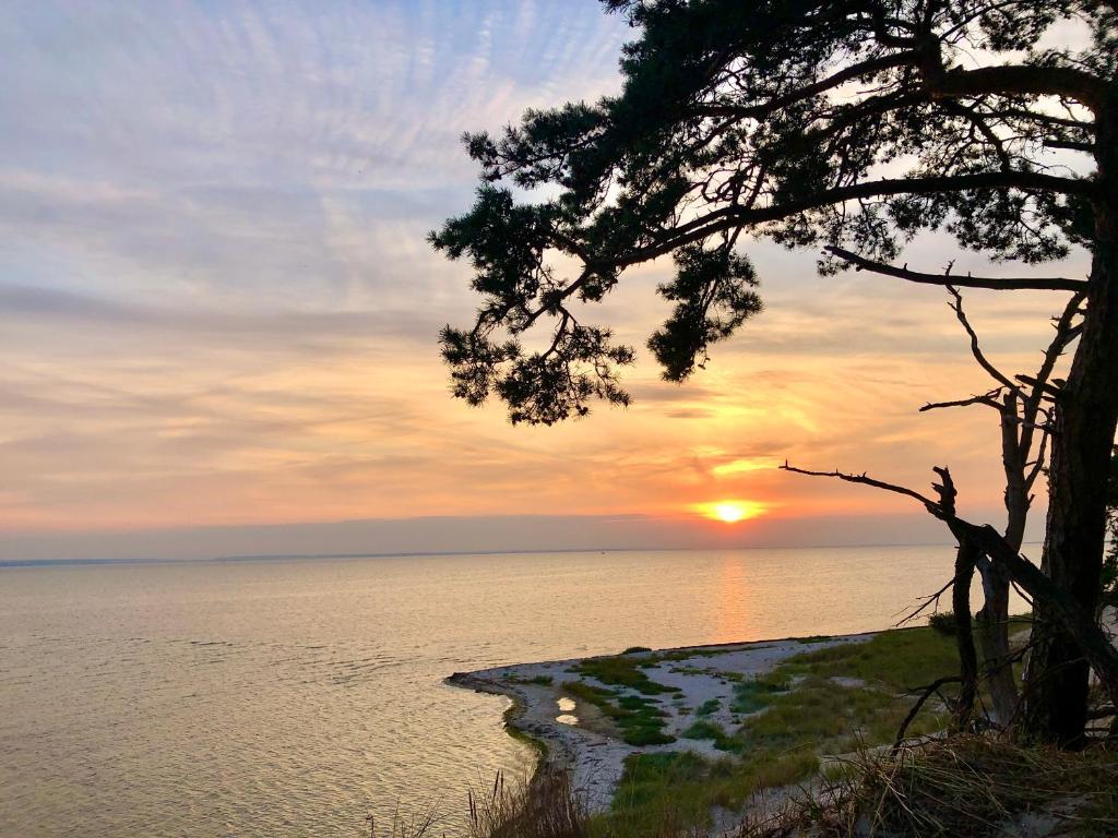 Noclegi - Ośrodek na Klifie Village - Hel Helska 11, Hel