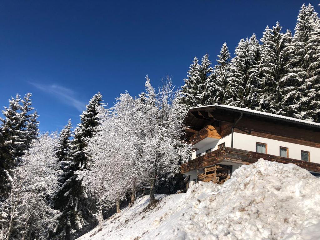 Ferienhaus Gerti Werfenweng - 3